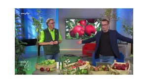 Tipps zum Apfelbaum schneiden