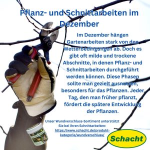 Pflanz- und Schnittarbeiten im Dezember