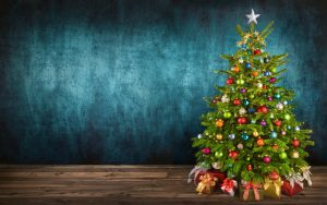 Weihnachtsbaum kaufen, tunen und pflegen mit René Wadas