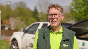 Blausieb im Apfelbaum