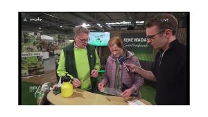 Was braucht eine Calanthea?