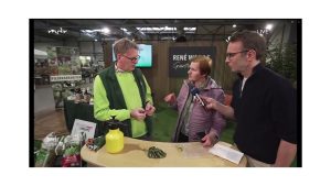 Ficus Benjamini braucht Dünger!