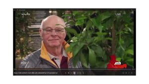 Zitrone total verschnitten!