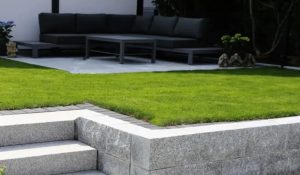 Probleme im Garten