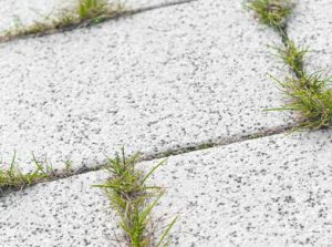 Unkraut aus der Einfahrt entfernen