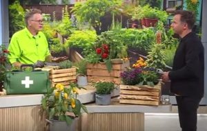 Kistengarten anlegen