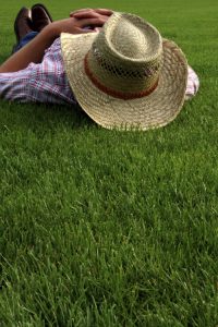 Gefährliche Gartenfehler im Sommer