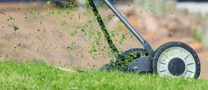 Gefährliche Gartenfehler im Sommer