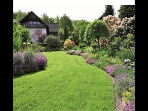 Rasenpflege im Spätsommer