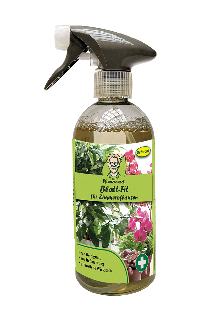 Zimmerpflanzen natürlich pflegen: Bio-Blattspray