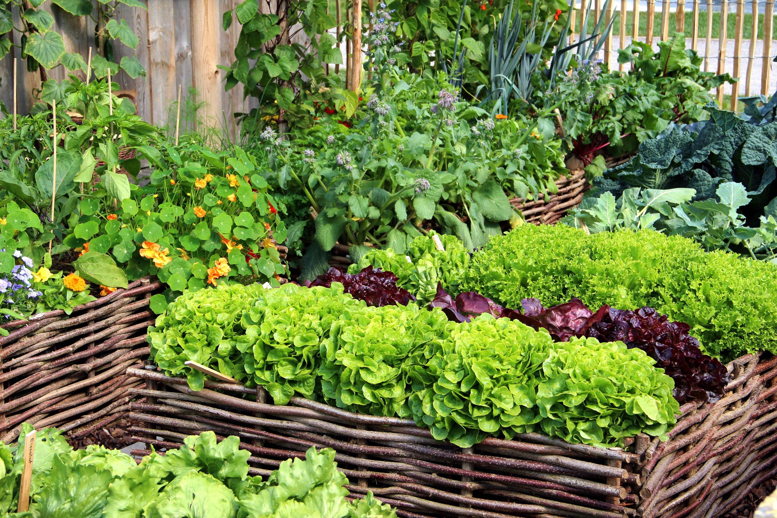 Boden-fit zur Belebung des Gartenbodens