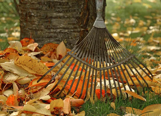Vorbereitung auf die neue Gartensaison