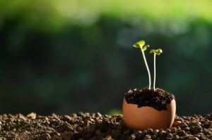 Kompost im Winter für das neue Gartenjahr