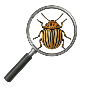 Winterverstecke der Schädlinge aufspüren