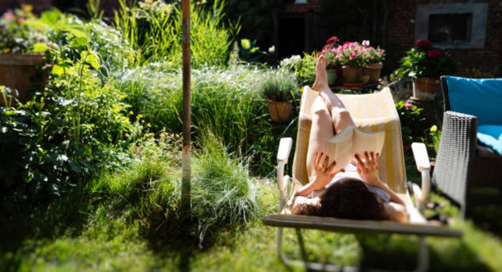 Keine Zeit für Gartenarbeit