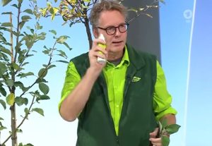 Wie schneidet man einen Apfelbaum