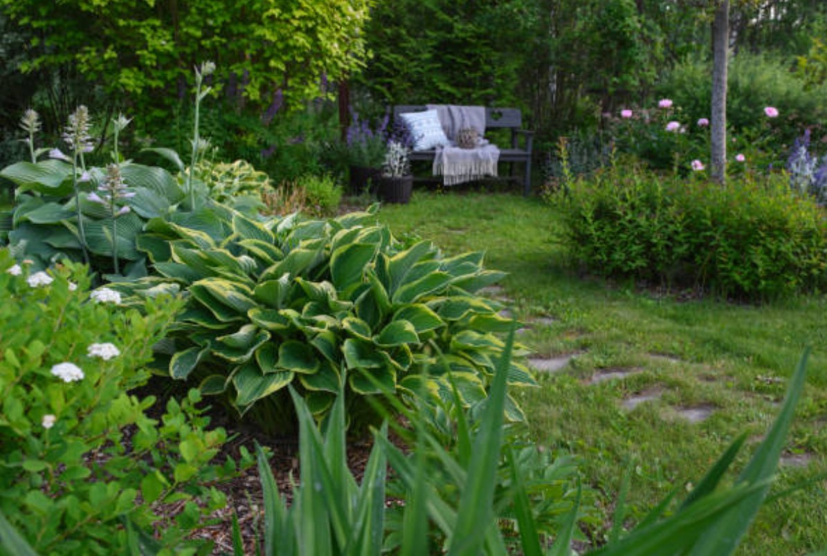 Garten ohne Sonne. So gelingt die Ernte trotzdem