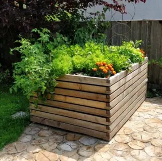 Hochbeet bepflanzen – So gelingt dir dein Gemüseparadies