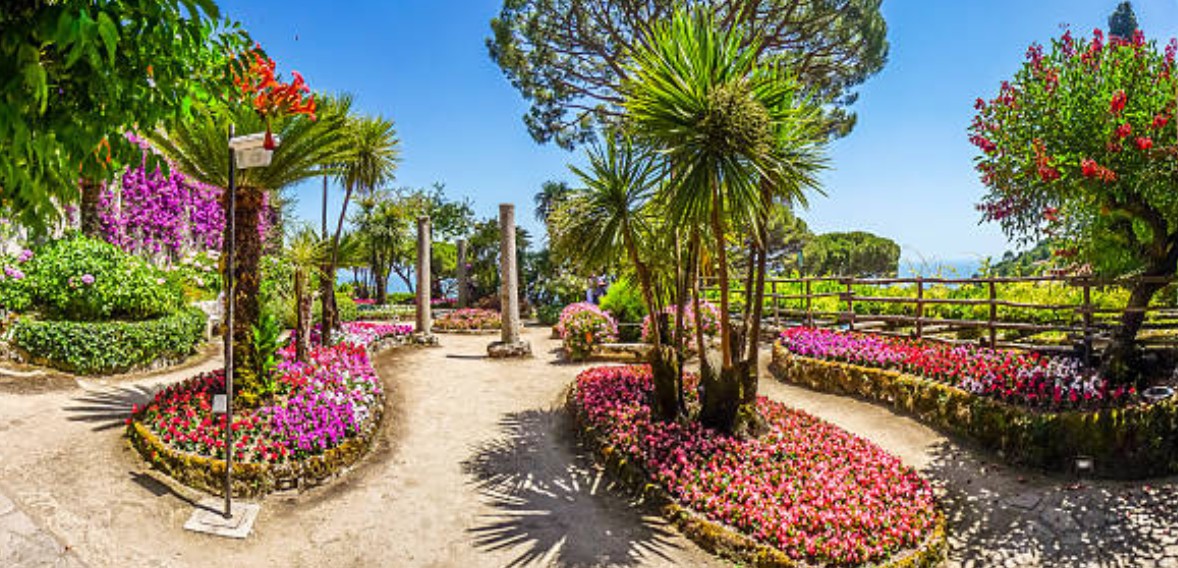 Mediterrane Pflanzen auf deinem Balkon oder im Garten