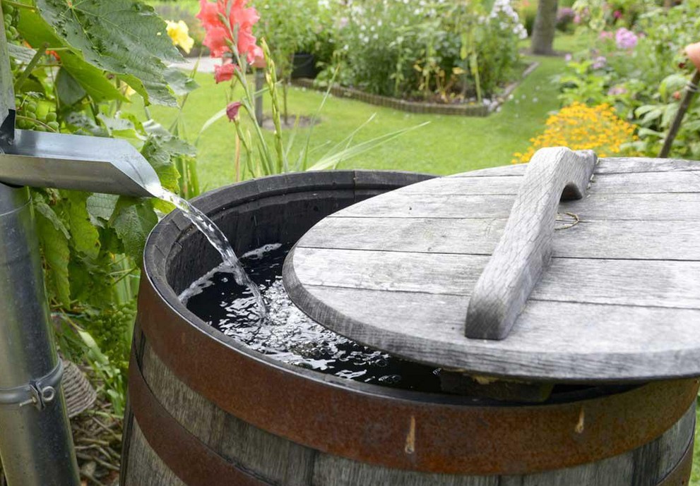 Fünf typische Fehler beim Auffangen von Regenwasser