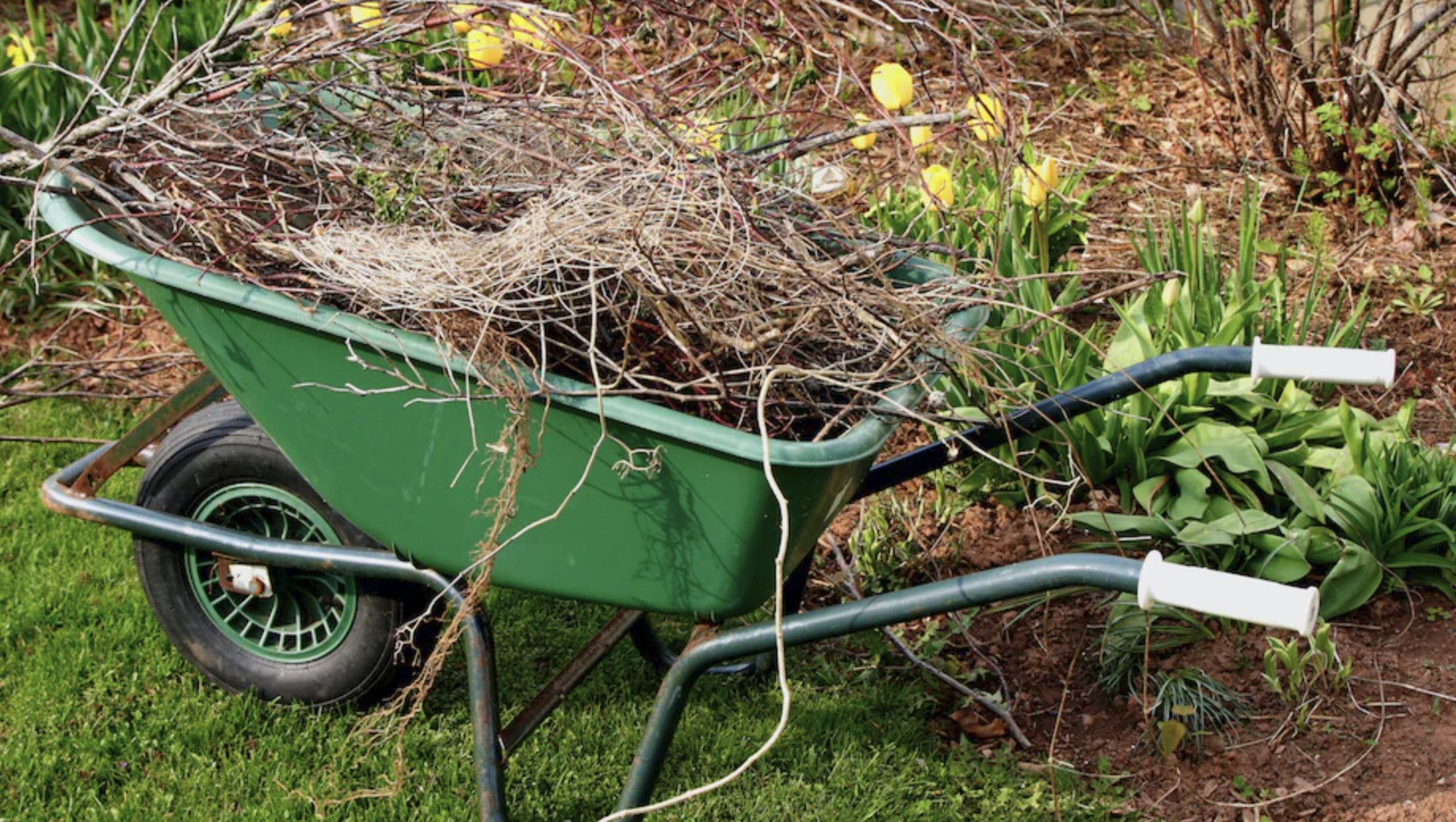 Schnittgut richtig aufbewahren
