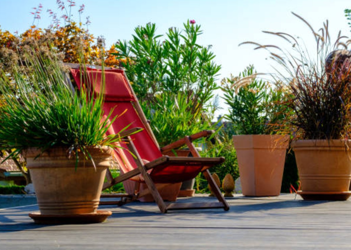 Topfgarten – Die ideale Möglichkeit für Deinen Stadtgarten