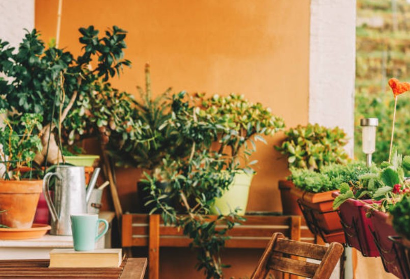 Balkon nachhaltig gestalten