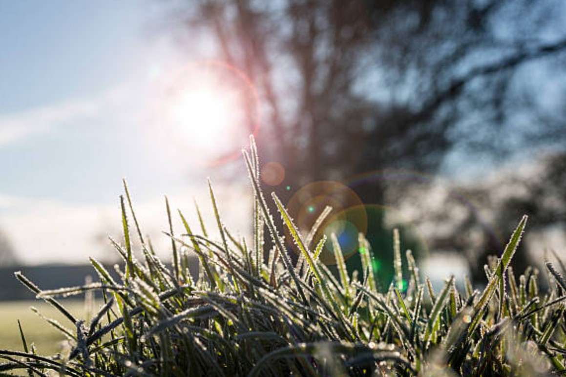 Frühlingserwachen im Garten – So schützt du deine Beete vor frostigen Nächten