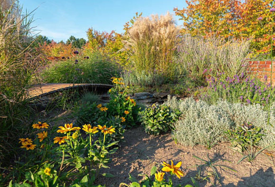 Schattenbeet: Farbenpracht im schattigen Garten