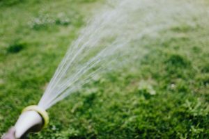 So gießt du angebrannten Rasen bei sommerlicher Hitze richtig