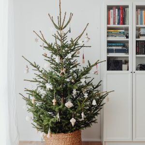 So bleibt euer Weihnachtsbaum länger frisch
