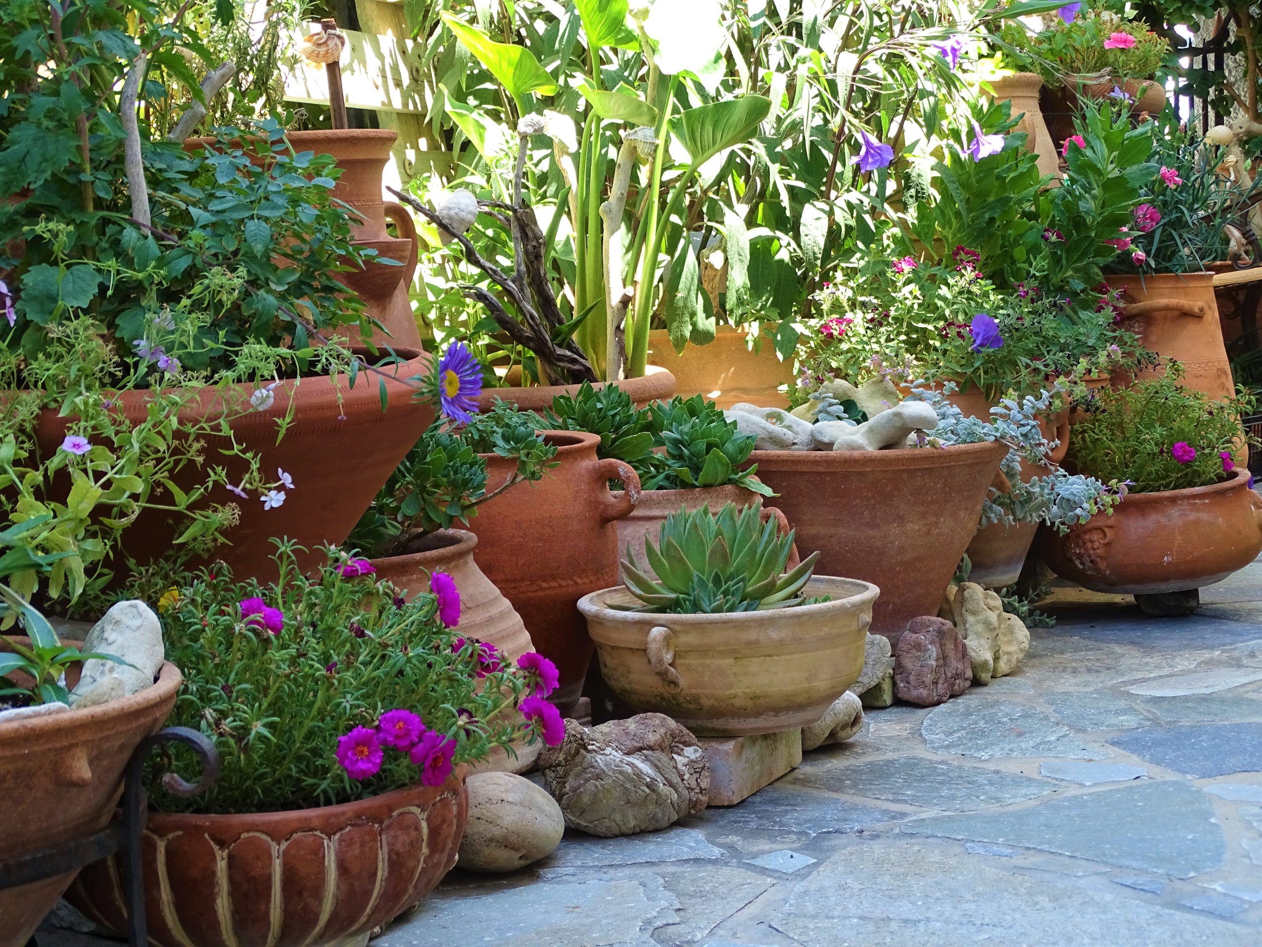 Topfgarten anlegen: Ideen, Pflanzen & Pflege für Balkon &…
