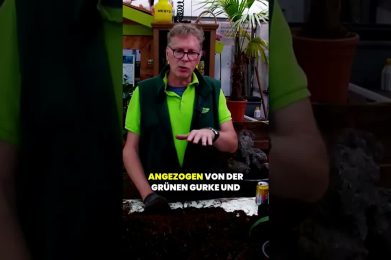 Schneckenfalle ohne Chemie selbst bauen 🐌 Garten-Tipps