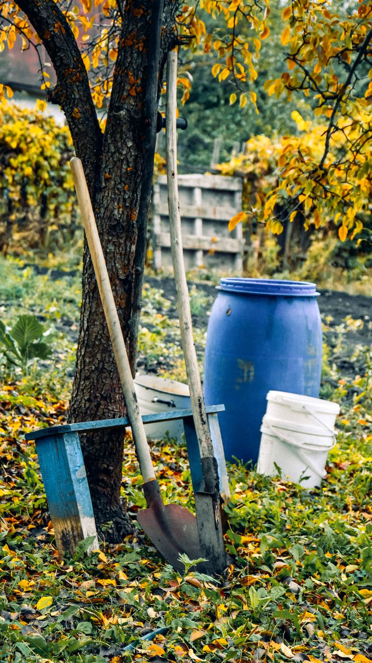Bunte herbstliche Gartenszene mit Werkzeugen und Behältern unter einem Baum.