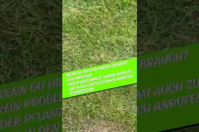 Rasenpflege Vertikutieren
