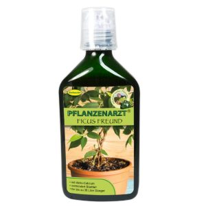 PFLANZENARZT Ficus-Freund