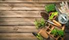 Gartenarbeit im Februar